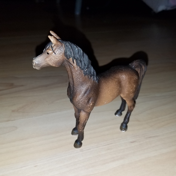 Choco - Picture 2 of 4